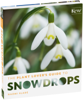 The Plant Lover’s Guide to Snowdrops
